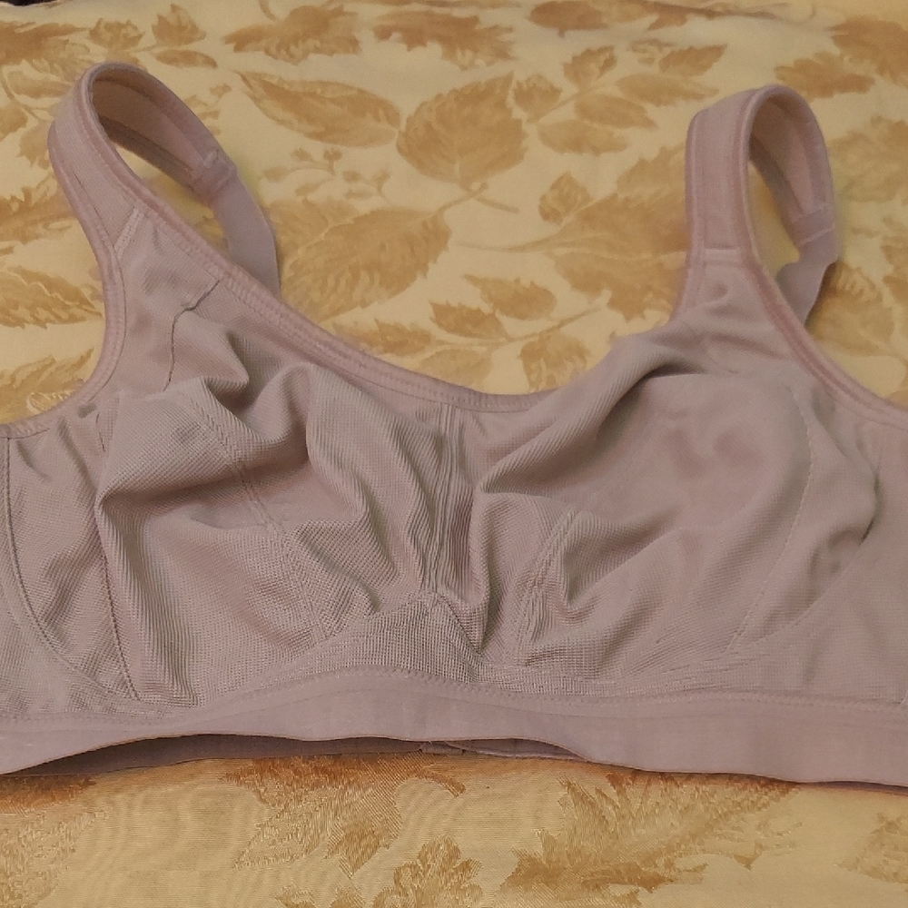 no brand name Tan Bra 46C